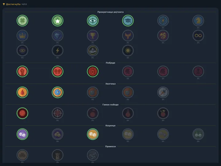 Player profile with achievements (iPad)